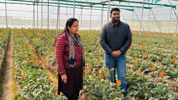 இன்ஜினியர் வேலையை விட்டு விட்டு விவசாயி ஆனதால் ஆண்டுக்கு ரூ.30 லட்சம் வருமானம்