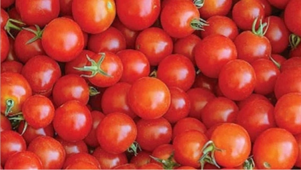  தக்காளி விலை கிடுகிடு.. போற போக்கை பார்த்தால் சட்னி கூட கிடைக்காது போலையே!