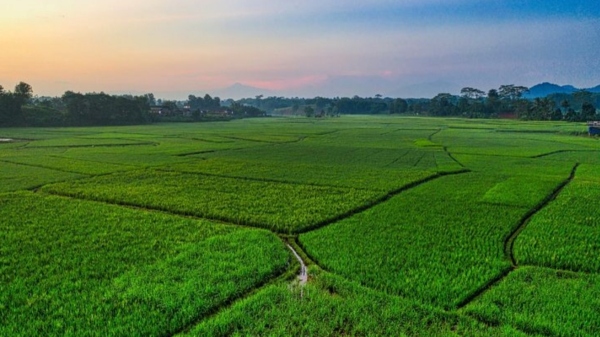 கர்நாடக அரசுக்கு சொந்தமாக 1.40 கோடி ஏக்கர் நிலம் உள்ளதாம்.. வாவ்..!