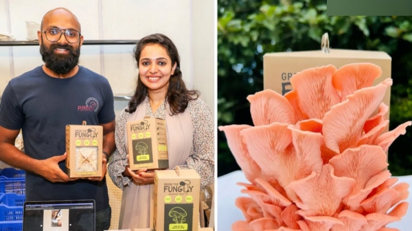 காளான் வளர்ப்பில் கோடிக்கணக்கில் வருமானம் ஈட்டும் கேரள தம்பதி.. எப்படி..? 