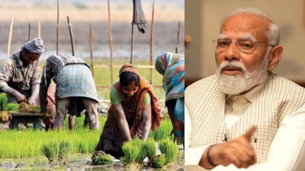 விவசாயம் டூ செமிகண்டக்டர்.. நச்சுன்னு 9 திட்டத்திற்கு பச்சை கொடி காட்டிய மோடி..!! 