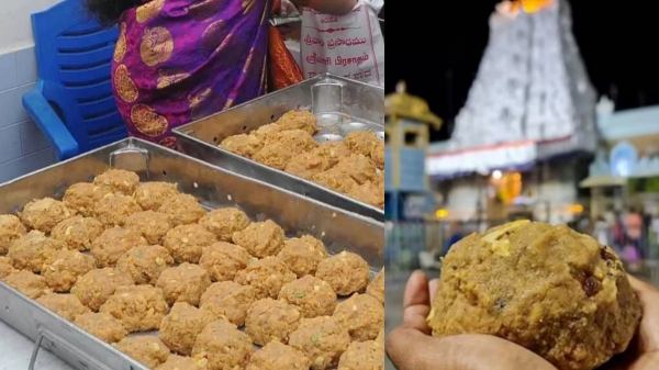  திருப்பதி லட்டு விவகாரம்: தேசிய பால்வள அறிக்கையில் சொல்லப்படுவது என்ன..? - முழு விவரம் 