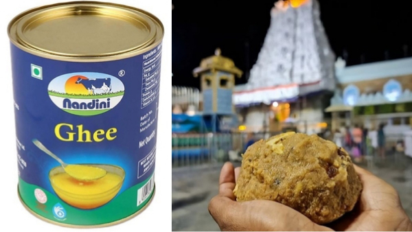  திருப்பதி லட்டு: பிரச்சனைக்கு ஃபுல் ஸ்டாப் வைத்த TTD.. நெய் சப்ளையை தொடர்ந்த நந்தினி பிராண்ட்!
