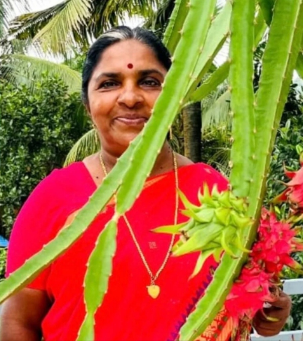  உரமில்லா விவசாயம் தெரியும்.. அதென்ன மண்ணில்லா விவசாயம்? டிராகன் பழ சாகுபடியில் அசத்தும் பெண்! ஆஹா!