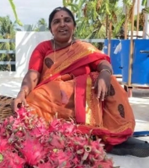  உரமில்லா விவசாயம் தெரியும்.. அதென்ன மண்ணில்லா விவசாயம்? டிராகன் பழ சாகுபடியில் அசத்தும் பெண்! ஆஹா!