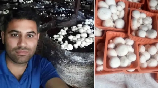 காளான் வளர்ப்பில் ரூ.90 லட்சம் வருமானமா.. மாஸ் காட்டும் எம்பிஏ பட்டதாரி..! 