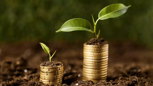  ரூ.1 லட்சம் போட்டா ரூ.2 லட்சம்! ரூ.2 லட்சம் போட்டா ரூ.4 லட்சம்! முதலீட்டை இரட்டிப்பாக்கும் திட்டம்!