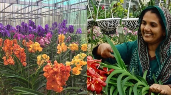 மாதம் ரூ.4 லட்சம் சம்பாதித்து அசத்தும் கேரள சிங்கப்பெண்..! அப்படி என்ன பிஸ்னஸ் செய்றாங்க..?