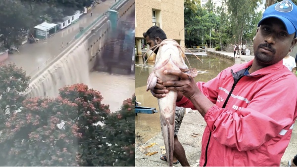  அப்பார்ட்மென்ட் பேஸ்மென்ட்-ல் மீன் பிடித்த மக்கள்.. பெங்களூரில் கலகல..!