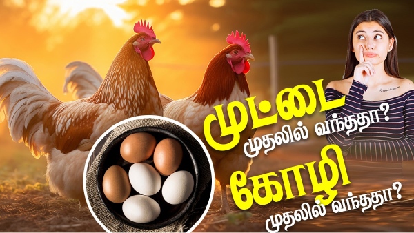  முதலில் கோழி வந்ததா? முட்டை வந்ததா? கேள்விக்கு முற்றுப்புள்ளி வைத்த ஆராய்ச்சியாளர்கள்!