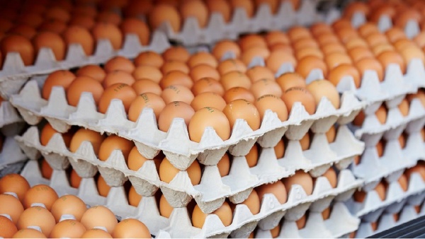 பங்களாதேஷ் நாட்டில் முட்டை பிரச்சனை.. 90 லட்சம் முட்டைகள் அனுப்பிய இந்தியா..!! பங்களாதேஷ் நாட்டில் முட்டை பிரச்சனை.. 90 லட்சம் முட்டைகள் அனுப்பிய இந்தியா..!!