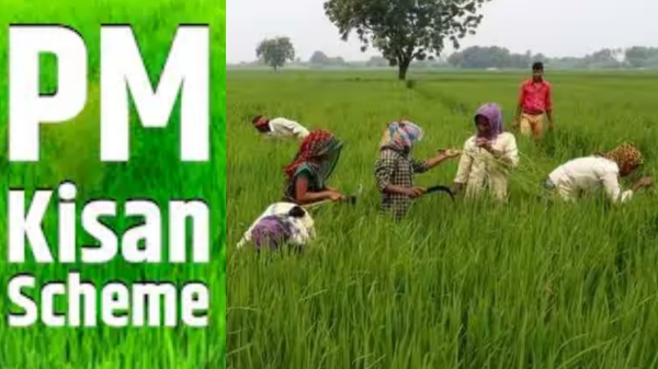  PM கிசான் திட்டத்தில் 2000 ரூபாய் வரவில்லையா? கவலை வேண்டாம்! இந்த நம்பருக்கு கால் பண்ணுங்க!