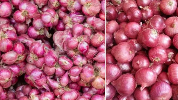 ஷாக் கொடுக்கும் வெங்காய விலை.. மதுரை சந்தையில் ரூ.90-க்கு விற்கப்படும் சின்ன வெங்காயம்!