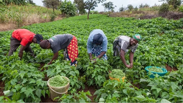  பான் 2.0 மட்டும் 9 முத்து முத்தான திட்டங்களுக்கு மத்திய அமைச்சரவை ஒப்புதல்..!