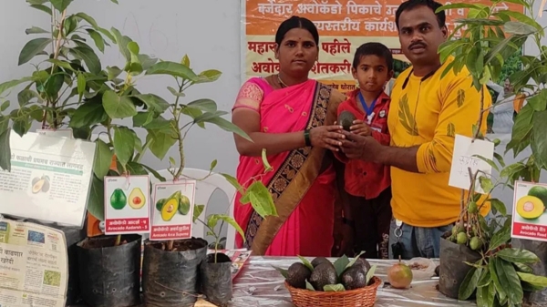  வறட்சியான பகுதியில் அவகேடோ சாகுபடி.. ஏக்கருக்கு ரூ.10 லட்சத்திற்கும் மேல் லாபம் பார்க்கும் விவசாயி!