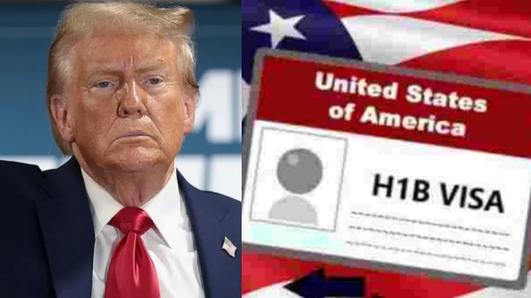 ஹெச்1பி விசா-வை எதிர்க்கும் நபருக்கு முக்கிய பொறுப்பு வழங்கிய டொனால்டு டிரம்ப்..! 