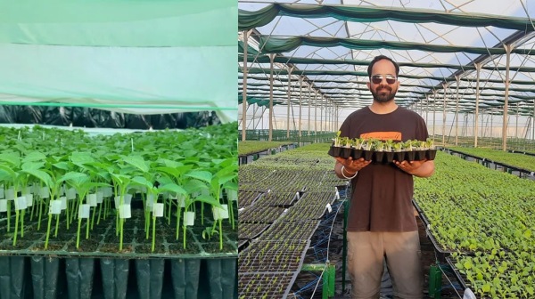 2 தண்டுகளை ஒட்டவைத்து புது செடி! விளைச்சலை அதிகரிக்கும் கிராஃப்டிங்! லட்சங்களில் சம்பாதிக்கும் நபர்!