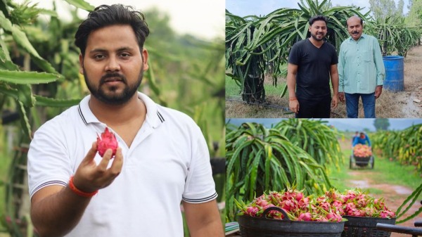  டிராகன் பழ விவசாயத்தில் ரூ.22 லட்சம் வருமானம்.. 1 ஏக்கர் தரிசு நிலத்தில் சக்கைபோடு போடும் பட்டதாரி!