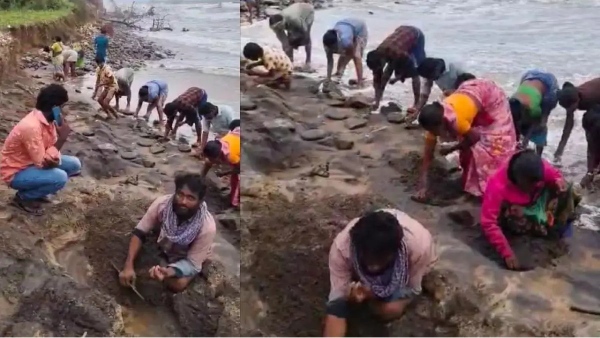 கடற்கரைக்கு காற்று வாங்க போனா தங்கம் கிடைக்குதாம்.. தங்க வேட்டை நடத்தும் ஆந்திர மக்கள்..! 