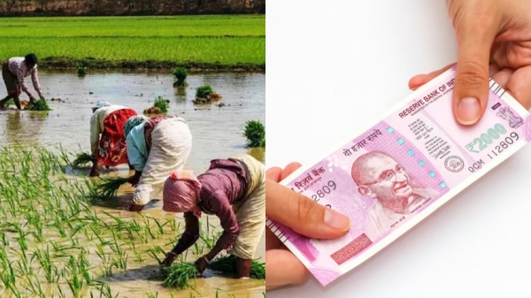  பிப்ரவரி மாதம் விவசாயிகளுக்கு ரூ.2000 வரப்போகுது.. நீங்கள் தகுதியுடையவரா? சரி பார்ப்பது எப்படி?