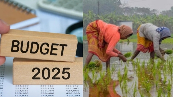 விவசாயிகளுக்கு காத்திருக்கும் ஸ்பெஷல் கிஃப்ட்.. பட்ஜெட்டில் வெளியாகப்போகும் முக்கிய அறிவிப்பு..!!