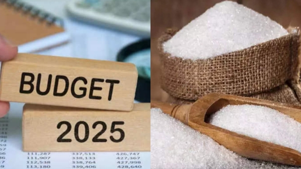 பட்ஜெட்டுக்கு முன் இந்த பங்குகளில் முதலீடு செய்யலாம்.. டக்கரான அறிவிப்பு வரப்போகுது..!!
