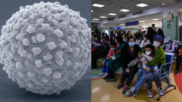 சீனாவில் HMPV வைரஸ் எப்படியெல்லாம் பரவுகிறது..? அறிகுறிகள் அனைத்தும் கொரோனா-வை நினைவூட்டுகிறது..!