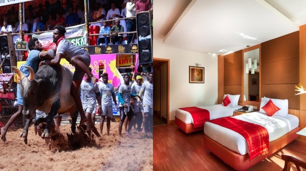  மதுரையில் களை கட்டிய ஜல்லிக்கட்டு.. ஹோட்டல்கள் கட்டணம் தடாலடி உயர்வு..!