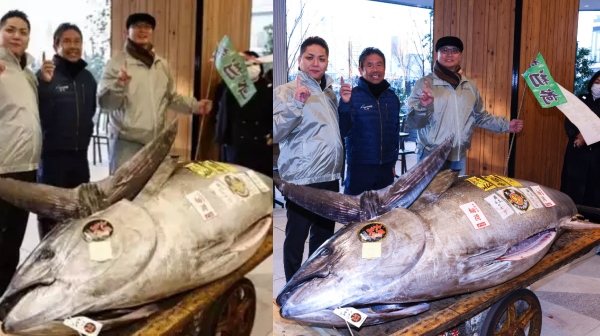 இந்த மீன் ரூ.11 கோடியா? போட்டிப்போட்டு வாங்கும் மக்கள்.. இதில் இப்படியொரு கதை இருக்கா?