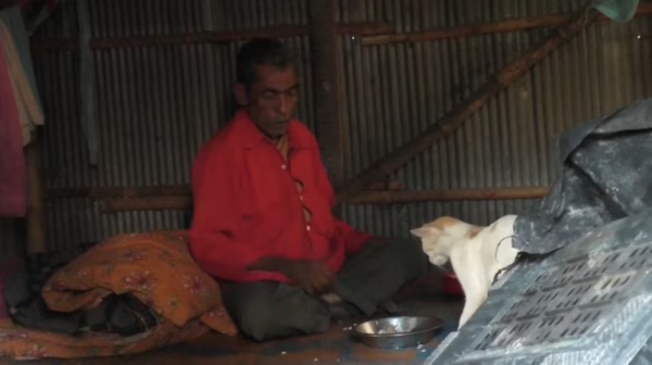  தொலைந்த பூனையை கண்டுபிடித்தால் ரூ. 10,000 பரிசு.. உறக்கமின்றி விளம்பரம் செய்து வரும் உரிமையாளர்!