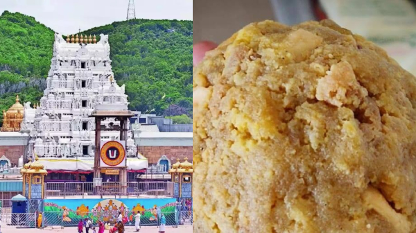 திருப்பதி லட்டு சர்ச்சை!. கலப்பட நெய் மறைமுகமாக வழங்கிய தடை செய்யப்பட்ட நிறுவனம்..!ஷாக் ரிப்போர்ட்.!