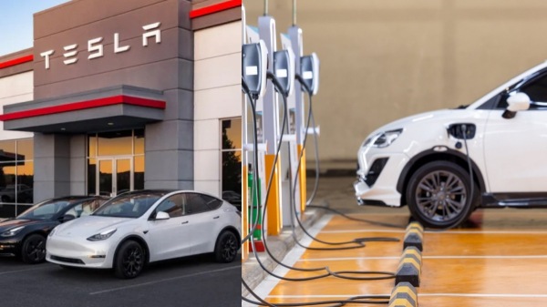 டெஸ்லா வந்தாலும் இந்திய நிறுவனங்களோடு போட்டி போட முடியாது – என்ன காரணம் தெரியுமா?