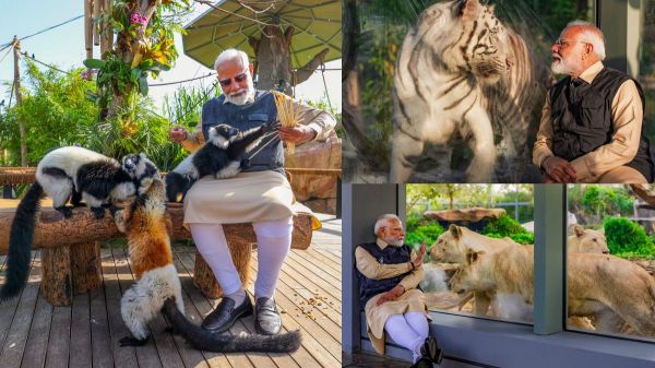 ஆனந்த அம்பானியின் 3500 ஏக்கர் விலங்குகள் மறுவாழ்வு மையம்.. திறந்து வைத்தார் பிரதமர் நரேந்திர மோடி..! ஆனந்த அம்பானியின் 3500 ஏக்கர் விலங்குகள் மறுவாழ்வு மையம்.. திறந்து வைத்தார் பிரதமர் நரேந்திர மோடி..!