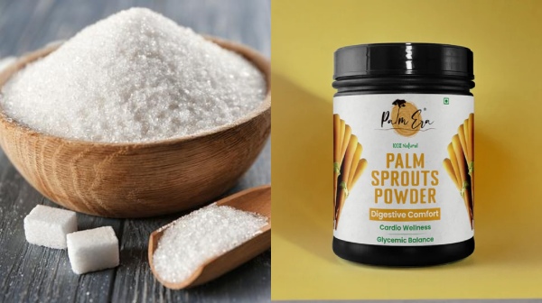 Palm Era: டிரெண்டாகும் திருநெல்வேலி ஸ்டார்ட்அப்.. பனைமரத்தில் ரூ.5000 கோடி வருவாய் ஈட்டலாம்..!!