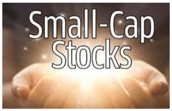 எஃப்ஐஐ மற்றும் மியூச்சுவல் பண்டுகள் போட்டி போட்டு வாங்கிய 13 பங்குகள்.. உங்ககிட்ட இருக்கா..?
