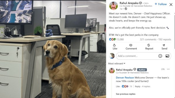 ஸ்டார்ட் அப் நிறுவனத்தில் Golden retrieverக்கு வழங்கப்பட்ட புதிய பொறுப்பு–இந்த ஐடியா நல்லா இருக்கே!!