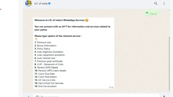 பாலிசிதாரர்கள் வசதிக்காக எல்ஐசி அறிமுகம் செய்துள்ள சாட் பாட்… எப்படி பயன்படுத்துவது?