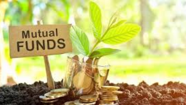 இந்த மியூச்சுவல் ஃபண்டுகளில் மாதம் ரூ.10,000 எஸ்ஐபி செய்தவர்கள் எல்லாம் இன்னைக்கு லட்சாதிபதி!!