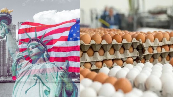 நாமக்கல் டூ அமெரிக்கா.. முதல்முறையாக ஒரு கோடி முட்டைகள் அமெரிக்காவுக்கு ஏற்றுமதி!