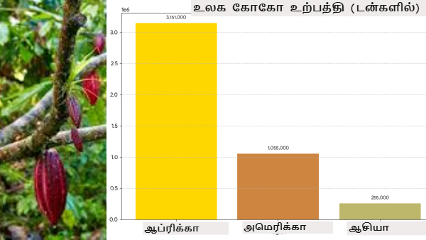 முற்பகல் செய்யின் பிற்பகல் விளையும்: நாம செஞ்ச பெரிய தப்பு.. உலகத்துல சாக்லேட்டே இல்லாம போக போகுது! முற்பகல் செய்யின் பிற்பகல் விளையும்: நாம செஞ்ச பெரிய தப்பு.. உலகத்துல சாக்லேட்டே இல்லாம போக போகுது!