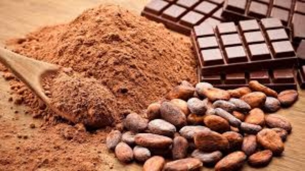 முற்பகல் செய்யின் பிற்பகல் விளையும்: நாம செஞ்ச பெரிய தப்பு.. உலகத்துல சாக்லேட்டே இல்லாம போக போகுது! முற்பகல் செய்யின் பிற்பகல் விளையும்: நாம செஞ்ச பெரிய தப்பு.. உலகத்துல சாக்லேட்டே இல்லாம போக போகுது!
