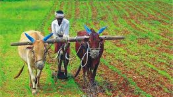 1.7 கோடி விவசாயிகளுக்காக மத்திய அரசு கொண்டு வந்துள்ள சிறப்பு திட்டம்!!