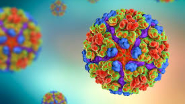 மீண்டும் மீண்டுமா? - கொரோனாவை போல சீனாவை அச்சுறுத்தும் மற்றொரு வைரஸ்!