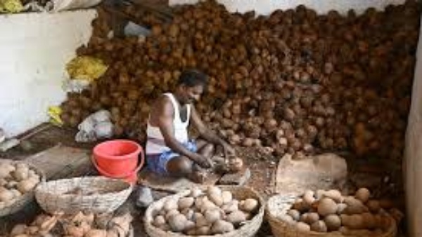 Liquid Gold ஆக மாறிய தேங்காய் எண்ணெய்..! ஒரே ஆண்டில் 3 மடங்கு விலை உயர்வு..!