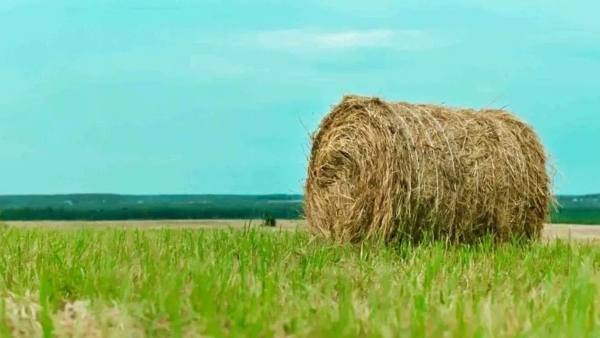 ரூ.1 கோடி நில விற்பனைக்கு ரூ.2.45 லட்சம் மட்டுமே வருமானம் காட்டிய நபர்.. இறுதியில் நடந்த ட்விஸ்ட்.!!