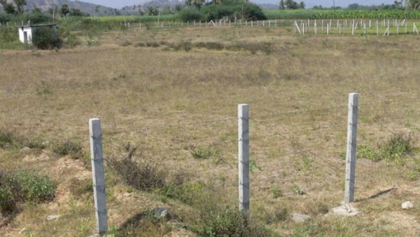 சொந்த நிலம் இருக்கிறதா? பட்டா, சிட்டா இல்லாவிட்டால் என்ன ஆகும்? இதை அவசியம் தெரிஞ்சுக்கோங்க.!!