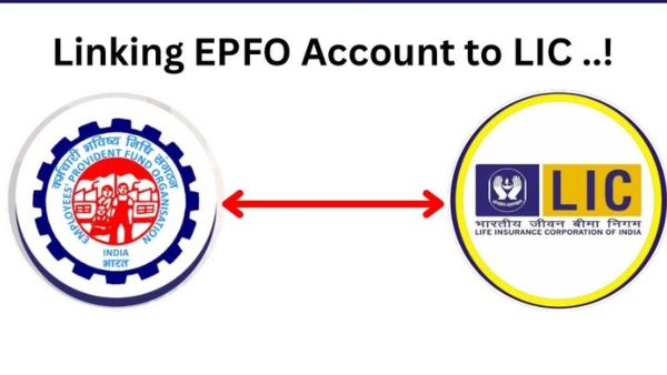 PF கணக்குடன் LIC பாலிசியை இணைத்தால் இவ்வளவு நன்மைகளா? எப்படி இணைப்பது? விரிவான வழிகாட்டி!!