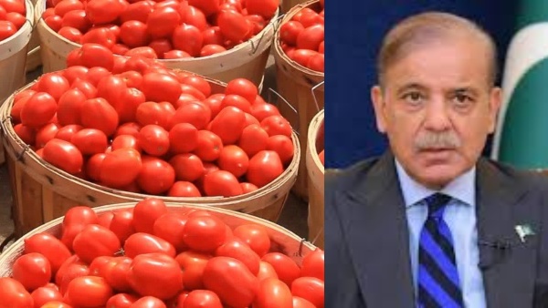 ஒரு கிலோ தக்காளி விலை ரூ.600 : ஒரே மாதத்தில் 400% விலை உயர்வு - மக்கள் அதிர்ச்சி!! ஒரு கிலோ தக்காளி விலை ரூ.600 : ஒரே மாதத்தில் 400% விலை உயர்வு - மக்கள் அதிர்ச்சி!!