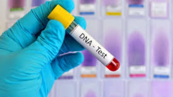 அமெரிக்காவில் குடியேறனுமா? இனி டிஎன்ஏ தகவல்களை கூட தரணும்- டிரம்ப் நிர்வாகம் திடீர் முடிவு!!