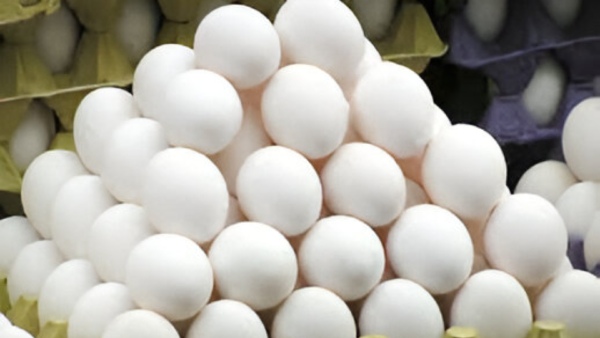 தாறுமாறாக உயரும் முட்டை விலை!! ஆம்லேட்டுக்கு ஆப்பா? முட்டை விலையை நிர்ணயம் செய்வது யார்?